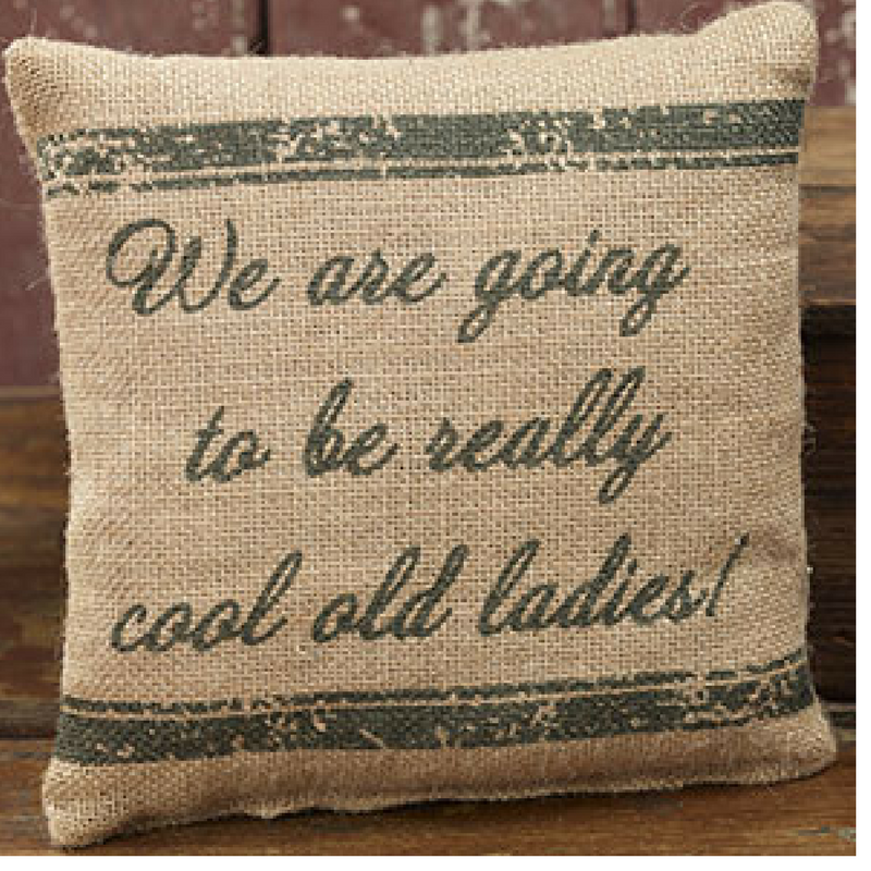 Cool Old Ladies Pillow